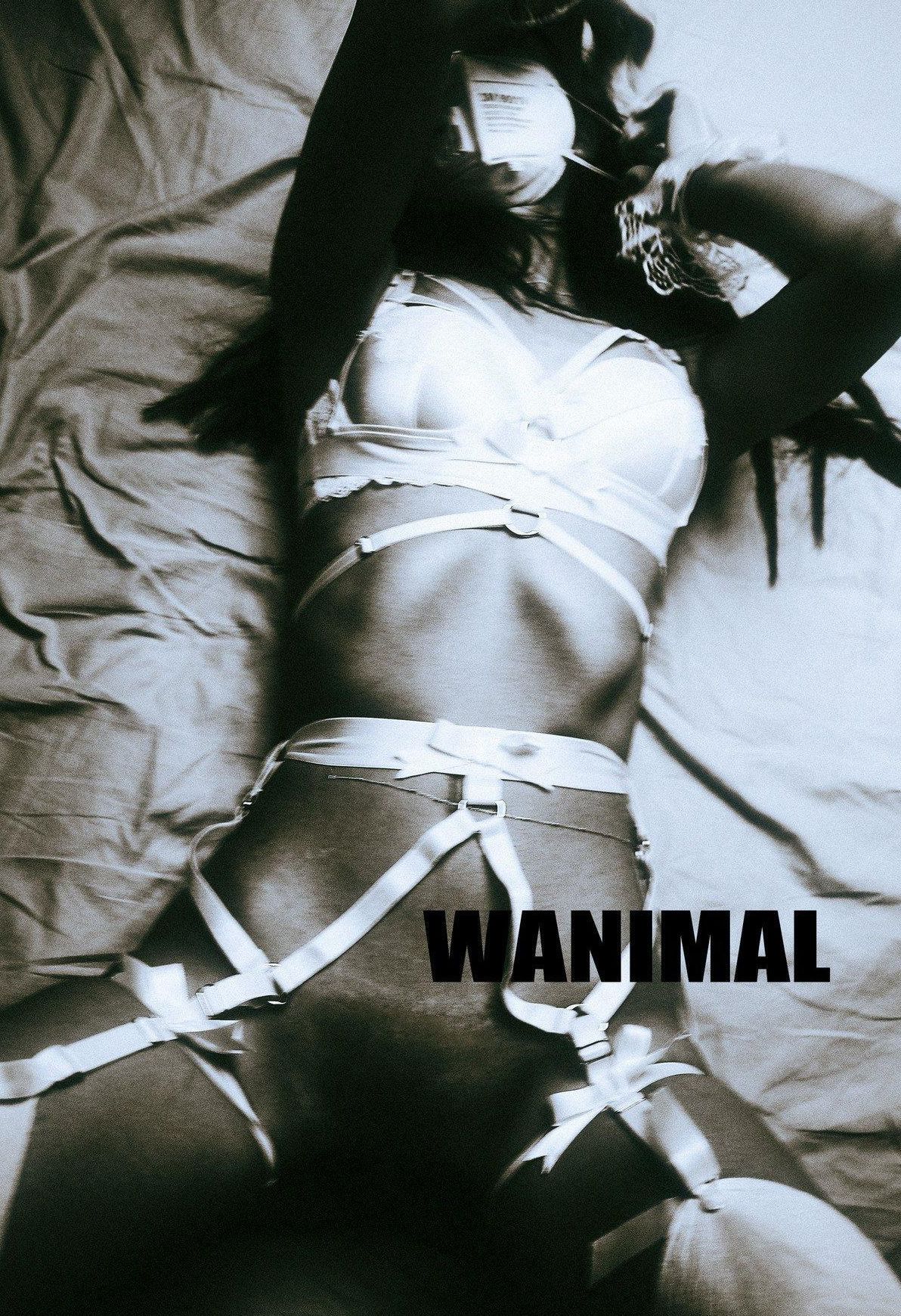 Tumblrͼ ]WANIMAL   Ʒģ Vol.103 ռ ģ P.8