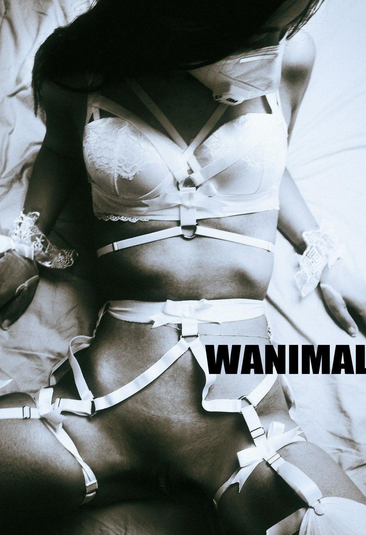 ]WANIMAL ռ Vol.103  Ʒģ Tumblrͼ ģ P.1 