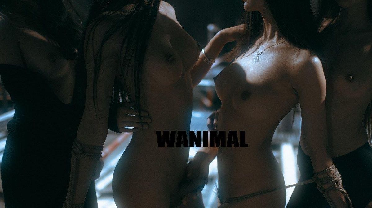 TumblrӰ Vol.105 ģ ģ ]WANIMAL   ռ P.7