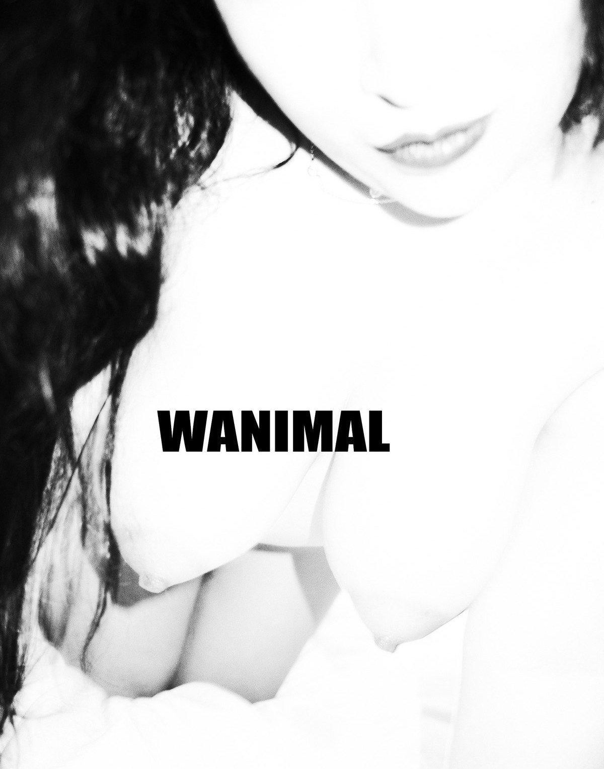 TumblrӰ ռ  Vol.105 ģ  ģ ]WANIMAL P.3