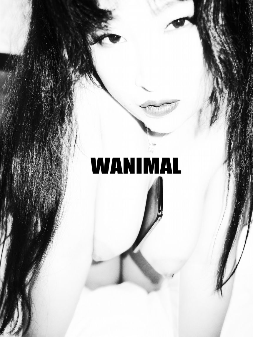 ڹ 183»Ա () WANIMALٷƷ [75P] ͼ P.4