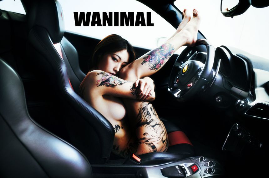 ʥ ߶ Ů [75P] () ͼ WANIMALٷ P.6